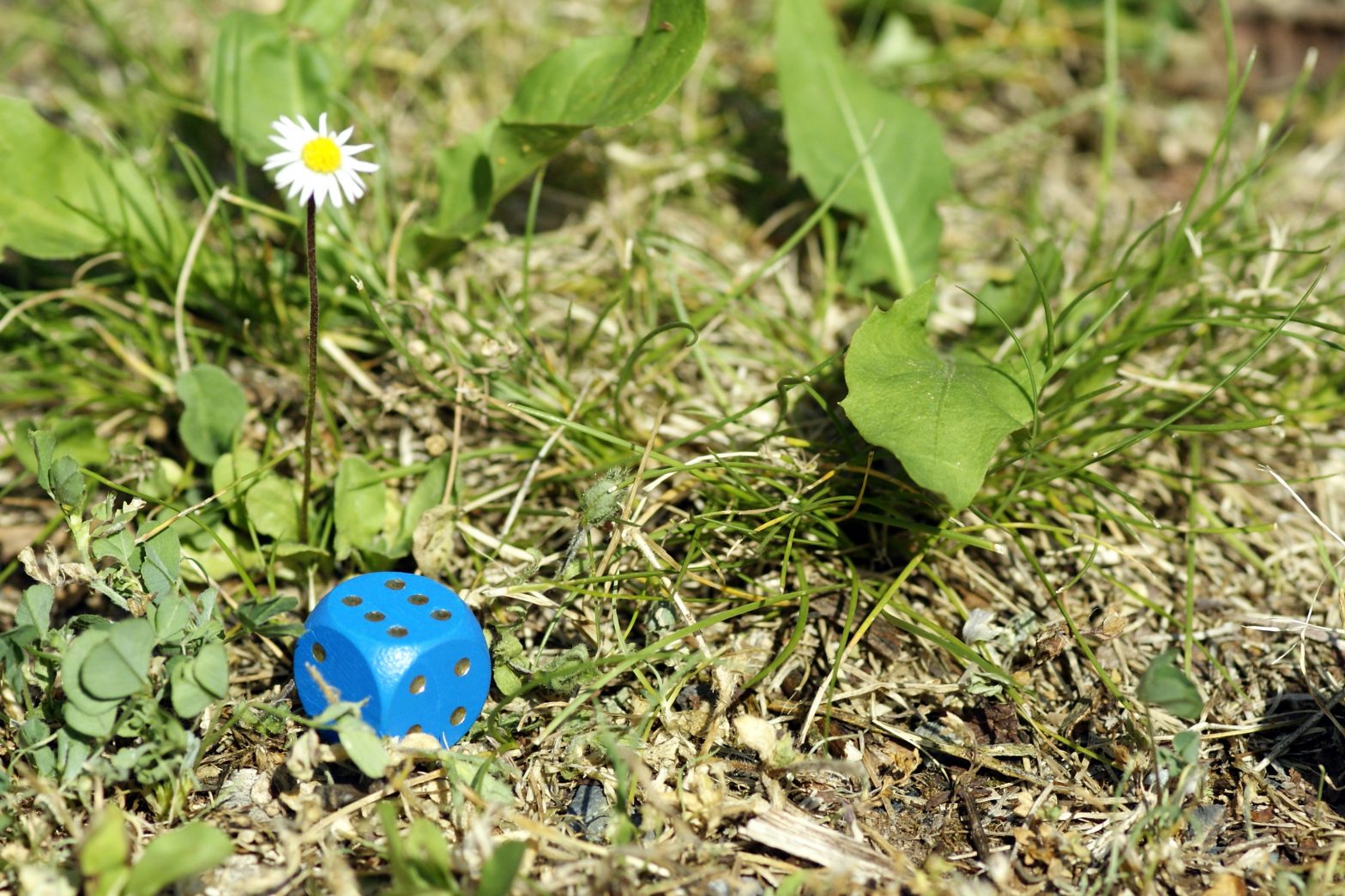 Unterricht im Freien