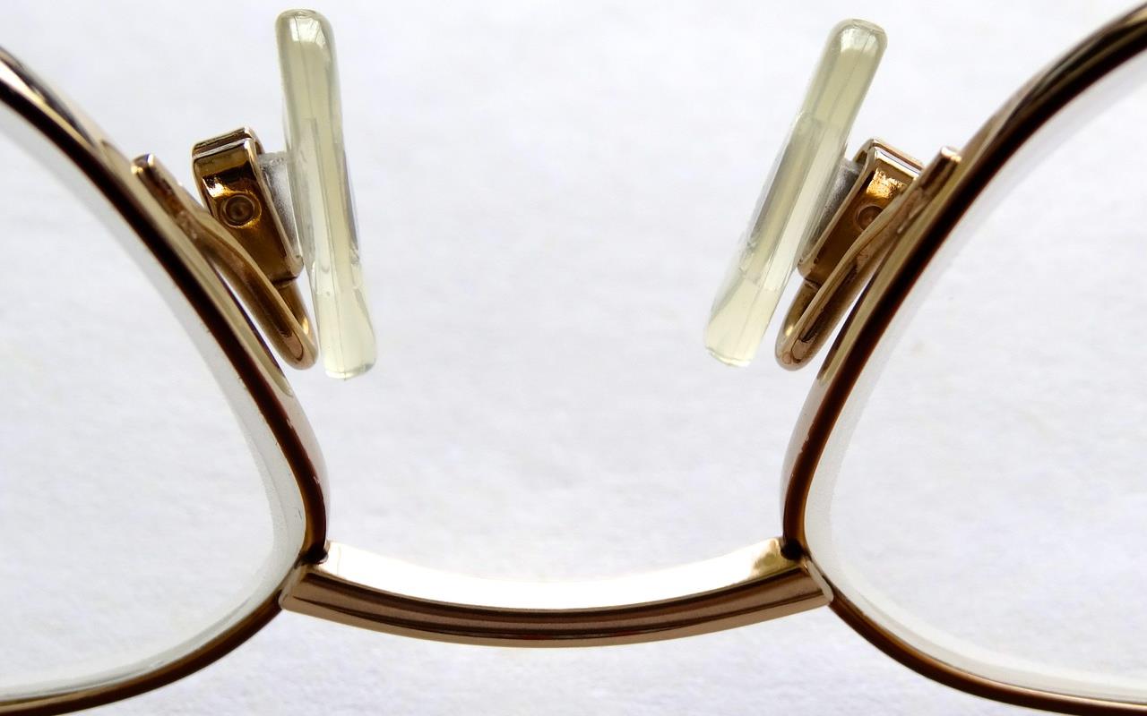 Hund und Brille: Sachen gibt’s